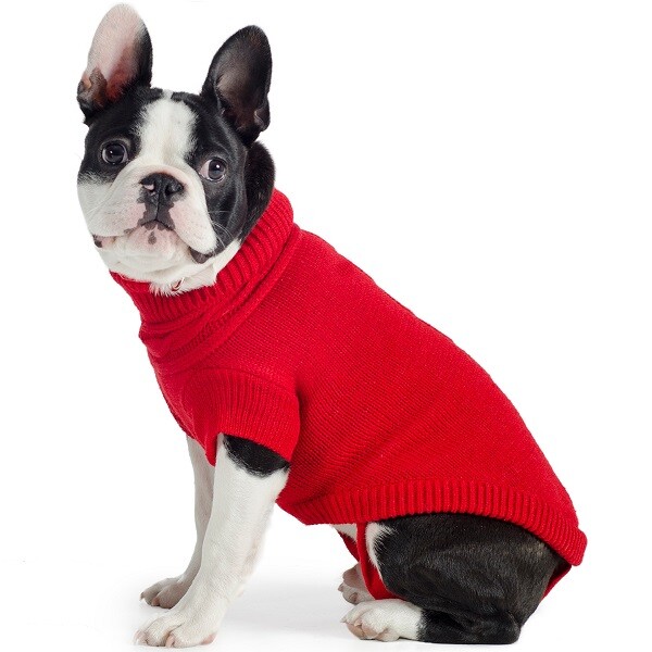 red dog jumper